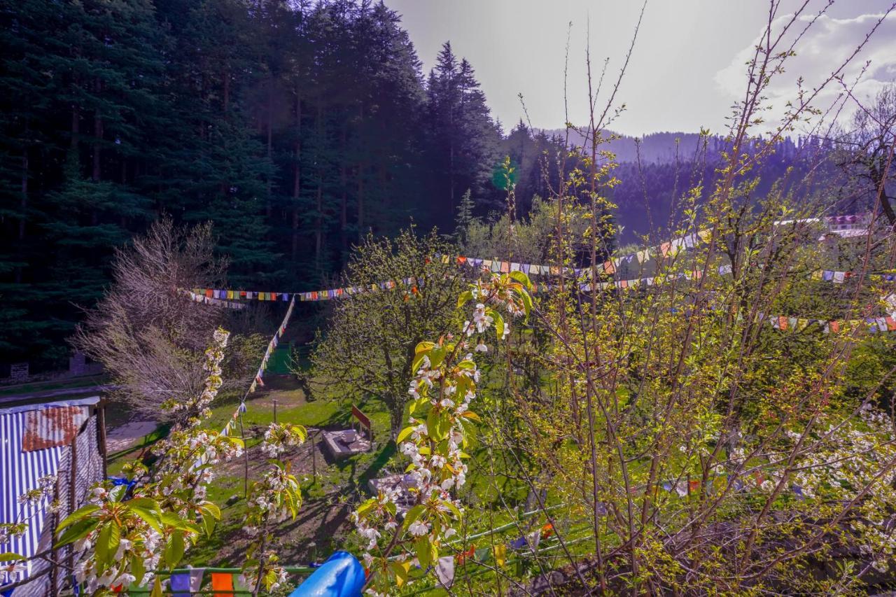Rama'S Green Forest Manāli Dış mekan fotoğraf